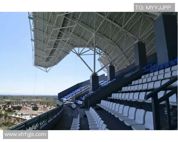 足球球星歌哈拉哈拉：从绿茵场到音乐舞台的精彩跨界之旅