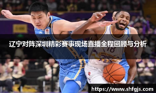 辽宁对阵深圳精彩赛事现场直播全程回顾与分析