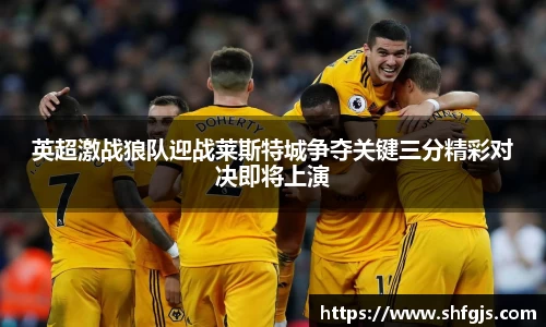 英超激战狼队迎战莱斯特城争夺关键三分精彩对决即将上演